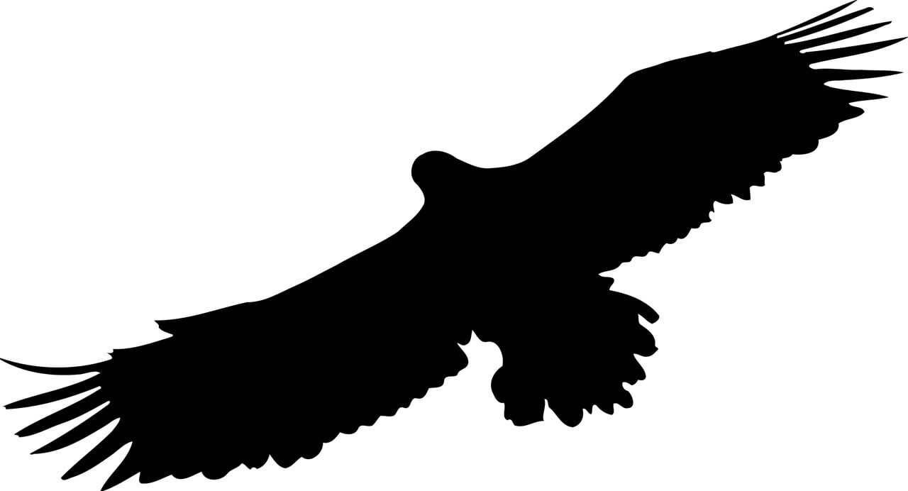 Sokratiko's logo representing a stylized black eagle flying on a white background.