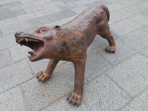 Immagine di uno dei 100 lupi in ferro realizzati dall'artista cinese Liu Ruowang esposti in Piazza del Municipio a Napoli. Coraggio (andreia) significa affrontare imprese ardue in cui ci siano comunque alcune possibilità di successo. Le parole della filosofia rock stoica sono strumenti del lavoro per la cura di sé.