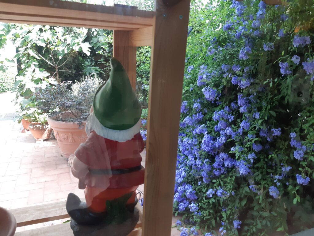 Immagine di uno gnomo da giardino visto di spalle. L'improvvisa apparizione di uno gnomo nel nostro giardino può farci paura, può rallegrarci o può lasciarci completamente indifferenti. Dipende dalle nostre convinzioni e credenze, quindi dipende da noi. Prohairesis significa scelta consapevole.