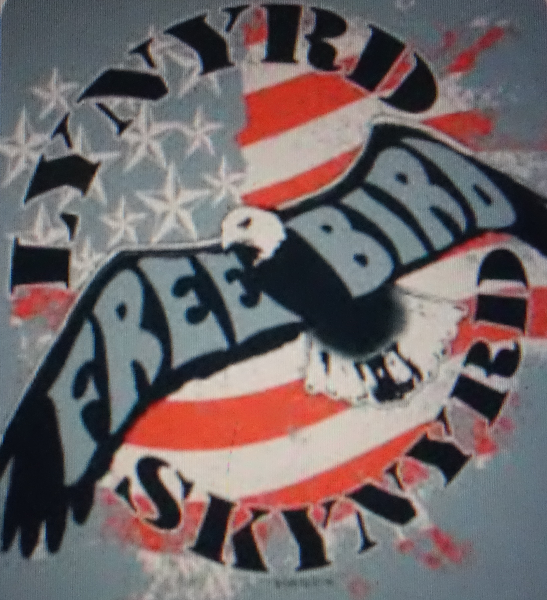 Immagine del singolo "Free bird" dei Lynyrd Skynyrd.