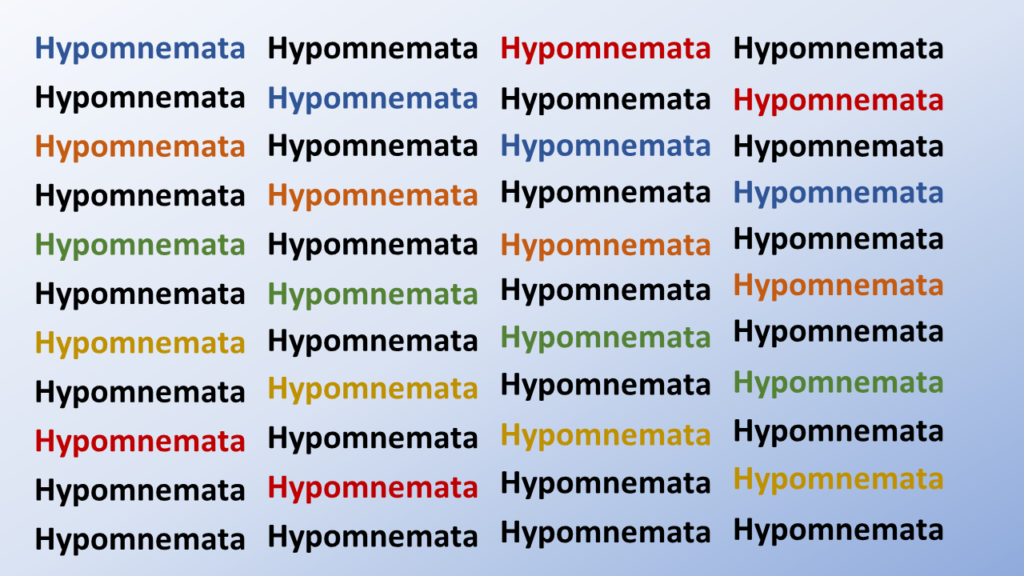 Grafica personalizzata della parola greca HYPOMNEMATA.